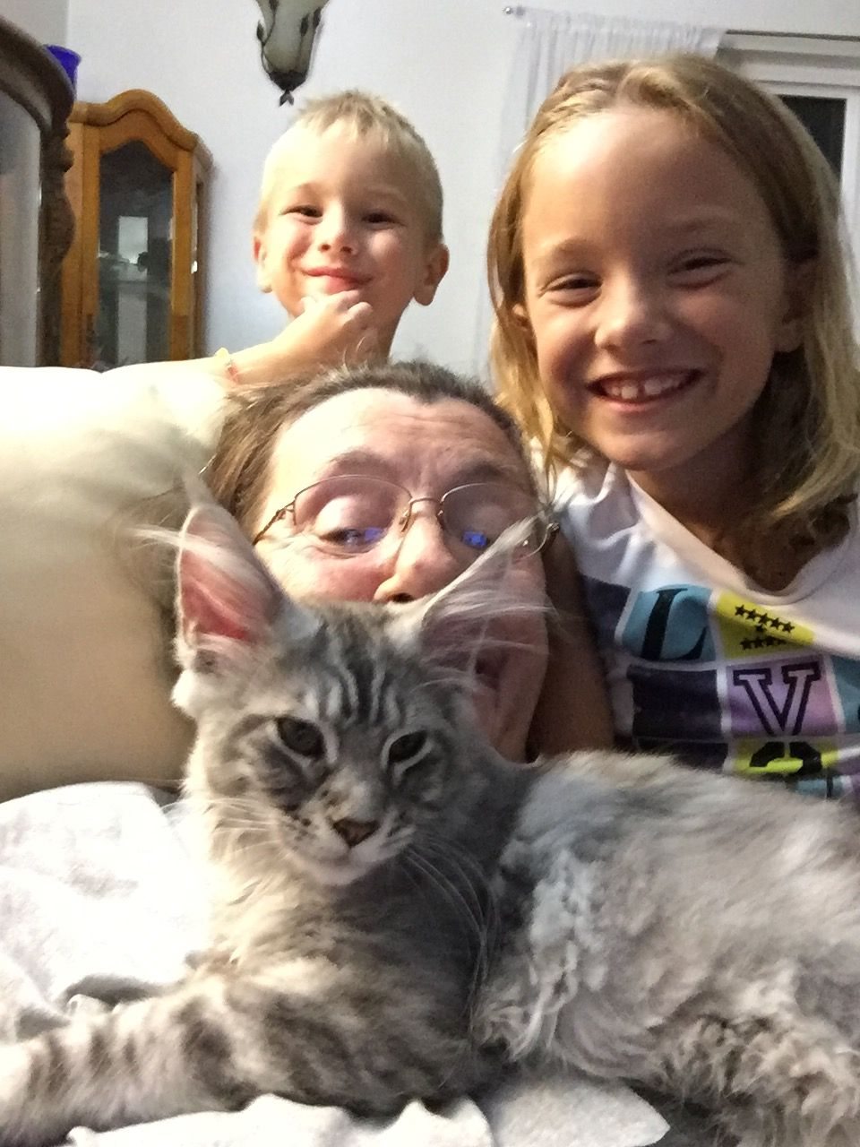 Children spending time with a young Maine Coon